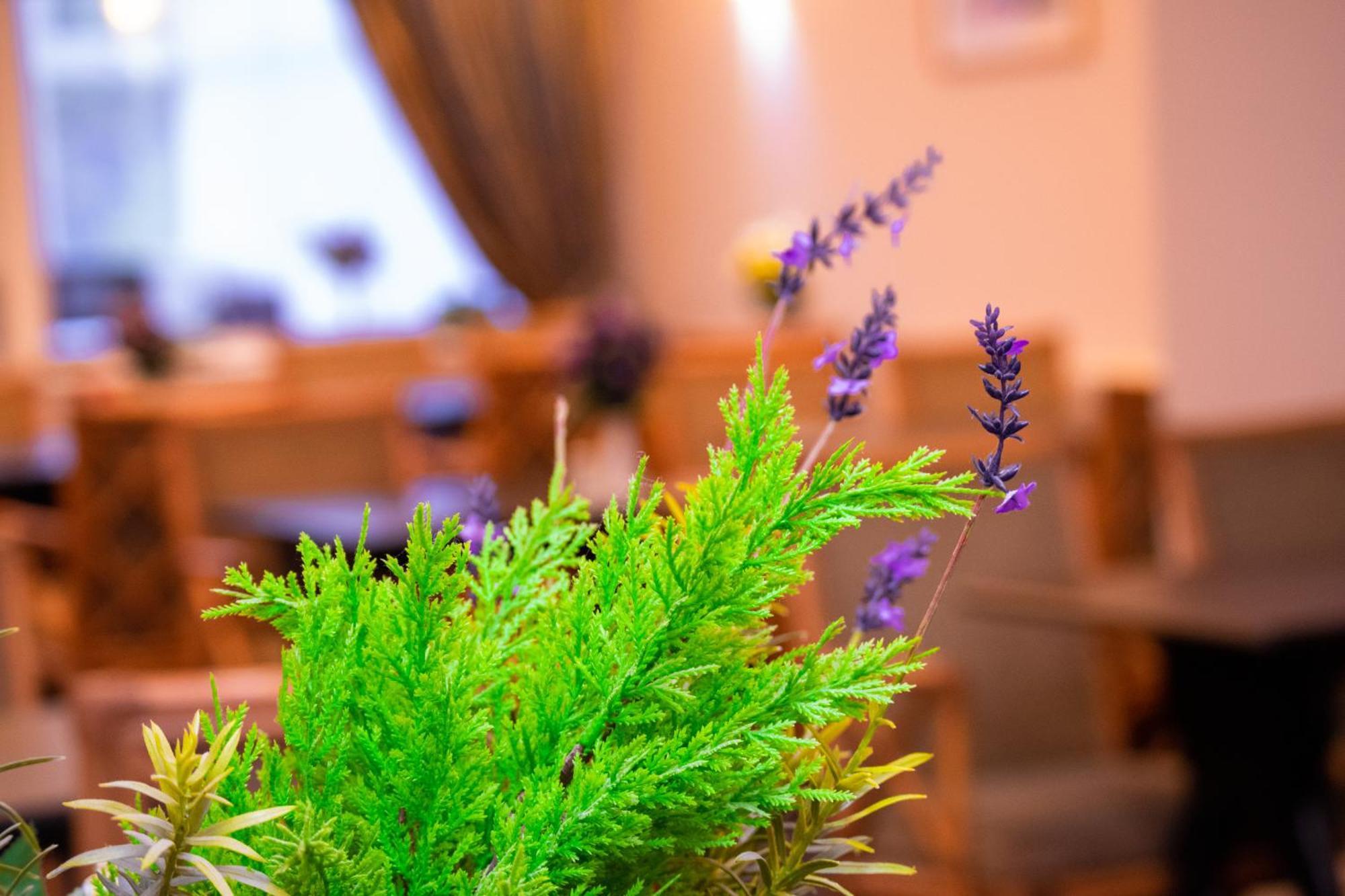 Royal Square Hotel - Nec & Birmingham Airport Marston Green Eksteriør billede